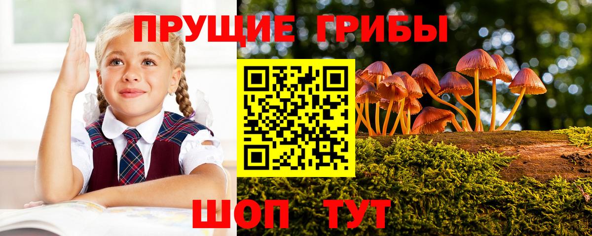 Кострома  Галлюциногенные грибы Magic Shrooms  Псилоцибиновые грибы Psilocybine cubensis  где можно купить   Вход с VPN 