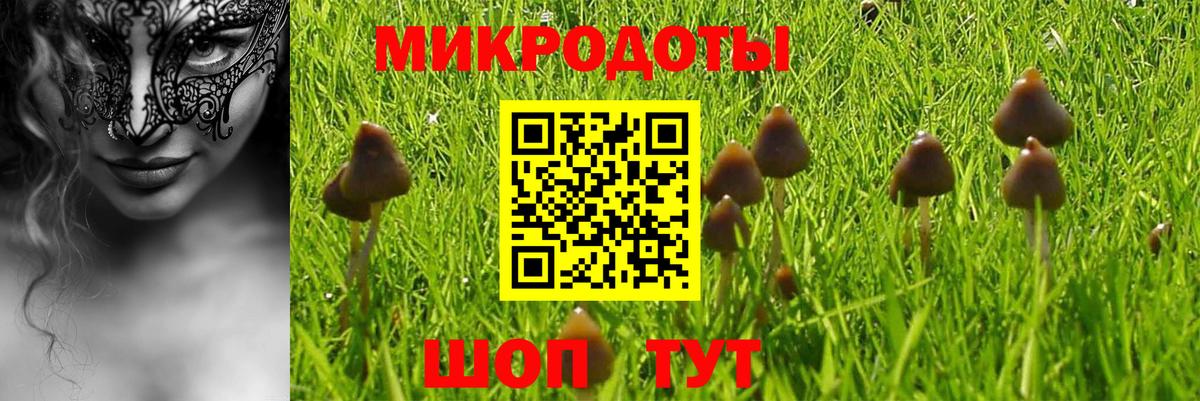 Псилоцибиновые грибы мицелий Кострома